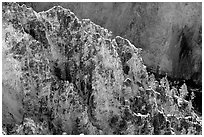 Rock wall in Grand Canyon of the Yellowstone. Yellowstone National Park ( black and white)