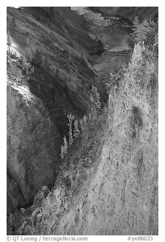 Wall and River in Grand Canyon of the Yellowstone. Yellowstone National Park (black and white)