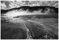 Water runoff from hot springs, Biscuit Basin. Yellowstone National Park ( black and white)