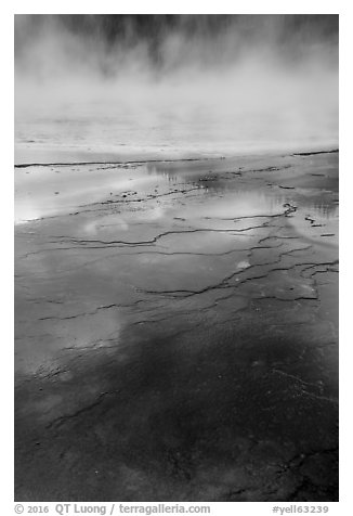 Microbial mat and steam, Grand Prismatic Springs. Yellowstone National Park (black and white)