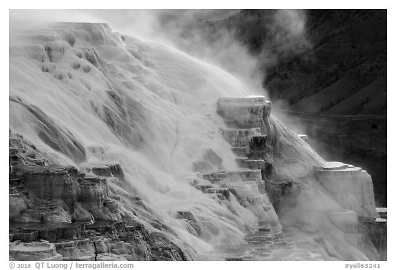 Flow over travertine, Canary Springs. Yellowstone National Park (black and white)