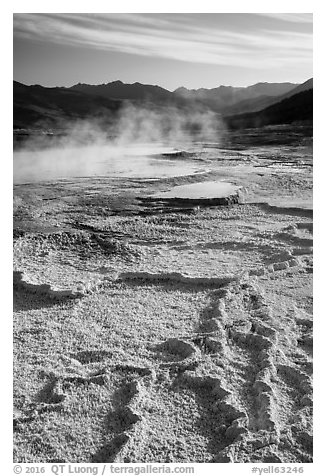 Main Terrace, Mammoth Hot Springs. Yellowstone National Park (black and white)
