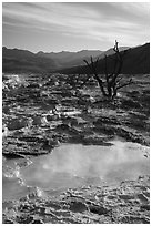 Main Terrace, Mammoth Hot Springs, morning. Yellowstone National Park ( black and white)