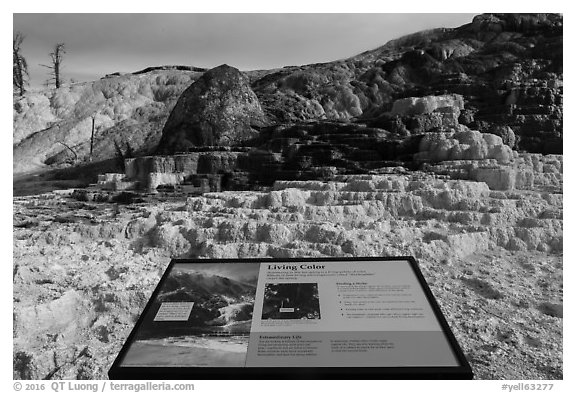 Living Color interpretive sign, Mammoth Hot Springs. Yellowstone National Park (black and white)