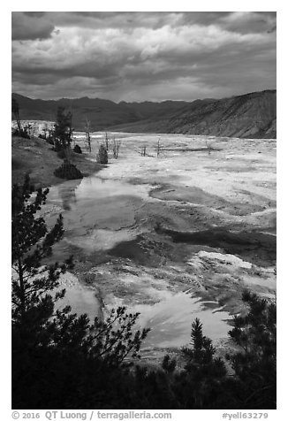 Main Terrace, afternoon, Mammoth Hot Springs. Yellowstone National Park (black and white)