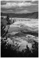 Main Terrace, afternoon, Mammoth Hot Springs. Yellowstone National Park ( black and white)