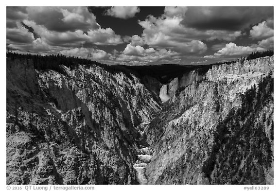 Grand Canyon of the Yellowstone from Artists Point. Yellowstone National Park (black and white)