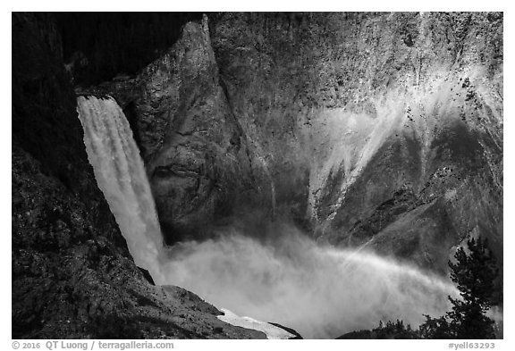 Lower Falls and rainbow, Grand Canyon of the Yellowstone. Yellowstone National Park (black and white)