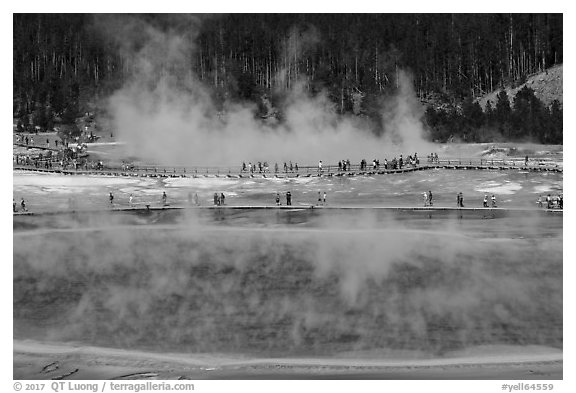 Grand Prismatic Spring and boardwalks. Yellowstone National Park (black and white)