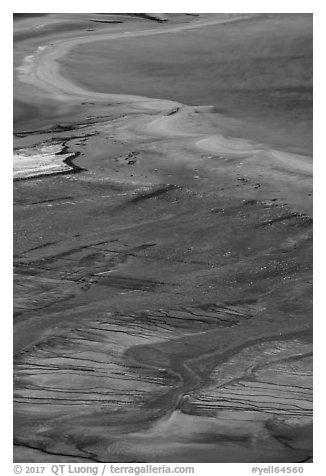 Vivid colors of microbial mats around Grand Prismatic Spring. Yellowstone National Park (black and white)