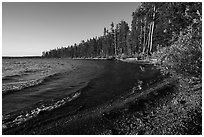 Lewis Lake and surf. Yellowstone National Park ( black and white)