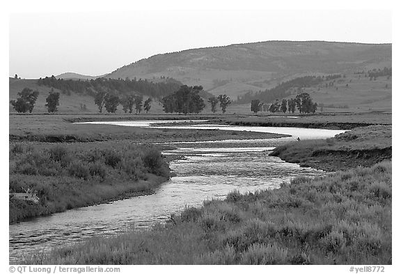 Soda Butte Creek, Lamar Valley, dawn. Yellowstone National Park (black and white)
