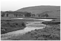 Soda Butte Creek, Lamar Valley, dawn. Yellowstone National Park, Wyoming, USA. (black and white)