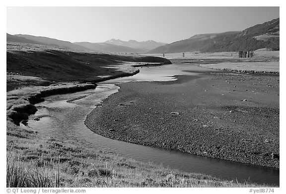 Lamar River, Lamar Valley, early morning. Yellowstone National Park (black and white)