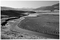Lamar River, Lamar Valley, early morning. Yellowstone National Park ( black and white)