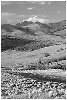 Hills from Specimen ridge, late afternoon. Yellowstone National Park, Wyoming, USA. (black and white)