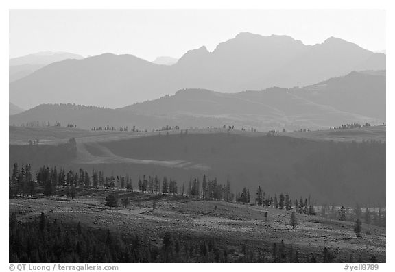 Backlit ridges of Absaroka Range from Dunraven Pass, early morning. Yellowstone National Park, Wyoming, USA.