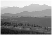 Backlit ridges of Absaroka Range from Dunraven Pass, early morning. Yellowstone National Park ( black and white)