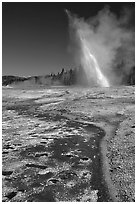 Daisy Geyser erupting at an angle. Yellowstone National Park ( black and white)