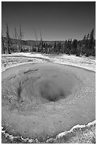 Bright colors of morning Glory Pool. Yellowstone National Park ( black and white)