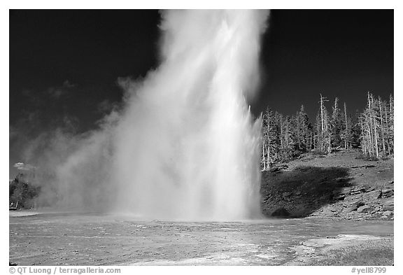 Grand Geyser eruption, afternoon. Yellowstone National Park (black and white)