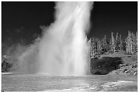 Grand Geyser eruption, afternoon. Yellowstone National Park, Wyoming, USA. (black and white)
