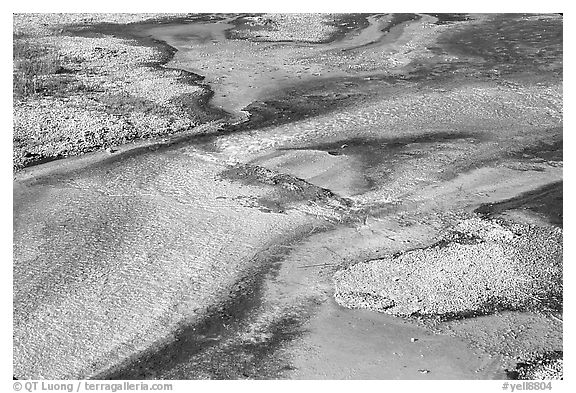 Colorful algaes patterns, Biscuit Basin. Yellowstone National Park (black and white)