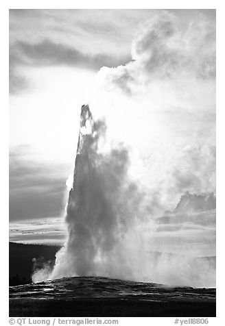 Old Faithful Geyser, late afternoon. Yellowstone National Park, Wyoming, USA.