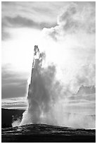 Old Faithful Geyser, late afternoon. Yellowstone National Park, Wyoming, USA. (black and white)