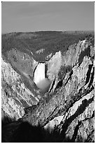 Falls of the Yellowstone River, early morning. Yellowstone National Park ( black and white)
