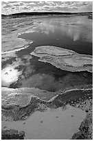 Frost along the Firehole River. Yellowstone National Park, Wyoming, USA. (black and white)