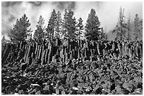 Basalt columns. Yellowstone National Park ( black and white)