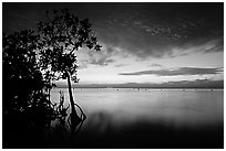Sunset on Biscaye Bay from Elliott Key. Biscayne National Park, Florida, USA. (black and white)