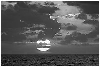 Sun rises over the Atlantic ocean. Biscayne National Park ( black and white)