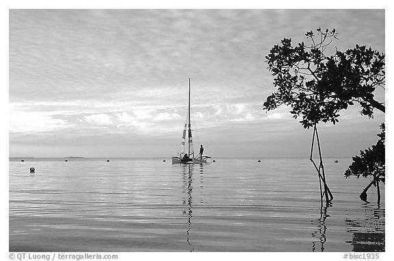 Sailing in Biscayne Bay. Biscayne National Park (black and white)