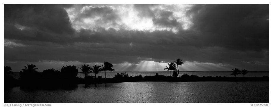Sunrise with dark clouds over coastal lagoon. Biscayne National Park (black and white)