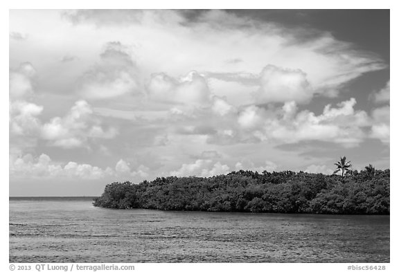 Adams Key, Biscayne Bay, and summer clouds. Biscayne National Park (black and white)