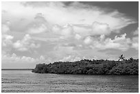 Adams Key, Biscayne Bay, and summer clouds. Biscayne National Park ( black and white)