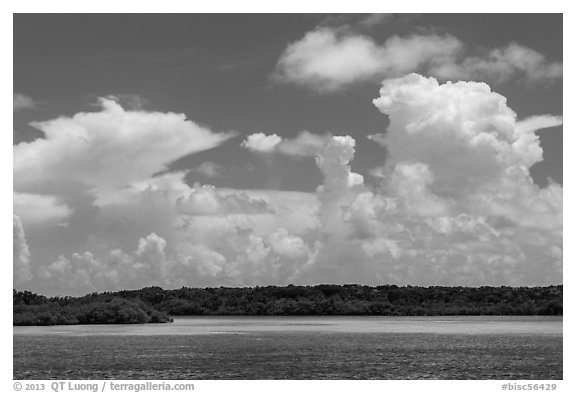 Barrier island, shallow waters, and afternoon clouds. Biscayne National Park (black and white)