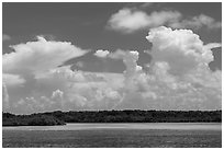 Barrier island, shallow waters, and afternoon clouds. Biscayne National Park ( black and white)