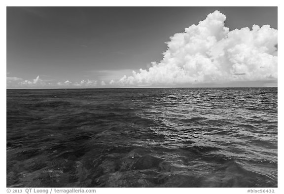 Reef and clouds. Biscayne National Park (black and white)