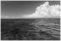 Reef and clouds. Biscayne National Park ( black and white)