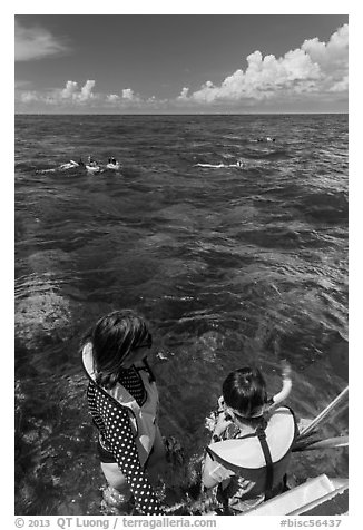 Snorkelers entering water. Biscayne National Park (black and white)
