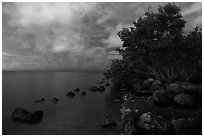 Biscayne Bay shoreline at night, Convoy Point. Biscayne National Park ( black and white)