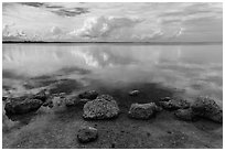 Rocks and Biscayne Bay reflections. Biscayne National Park ( black and white)