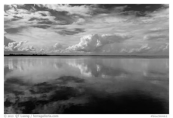 Clouds reflected in water, Biscayne Bay. Biscayne National Park, Florida, USA.