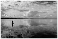 Park visitor looking, standing in glassy Biscayne Bay. Biscayne National Park ( black and white)