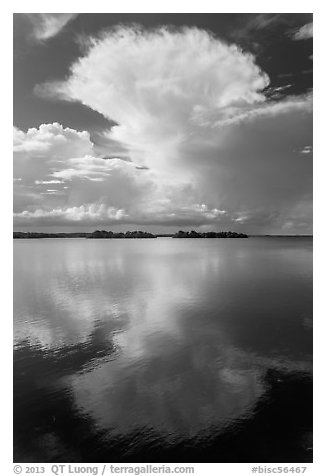Cumulonimbus clouds, and mangrove-covered islets, Biscayne Bay. Biscayne National Park (black and white)