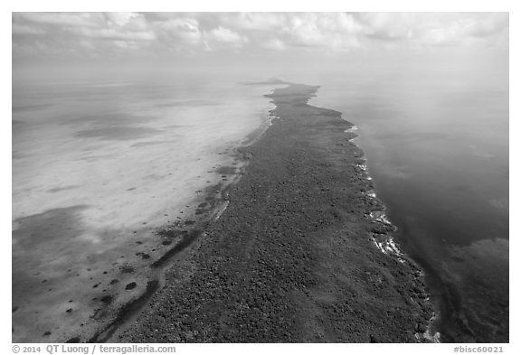 Aerial view of Elliott Key. Biscayne National Park (black and white)