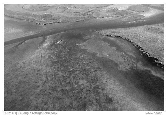 Aerial view of Ceasar Creek Bank. Biscayne National Park (black and white)